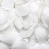 Kép 3/3 - Rózsaszirmok fehér 10g 288/#