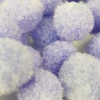 Kép 2/2 - Lila zsenília pompon 1,5cm 100db/cs