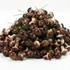 Kép 2/4 - Gomba pick barna 2,5*2cm 20db/csomag