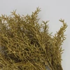 Kép 1/2 - Csillámos asparagus csokor arany