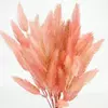 Kép 3/4 - Szárazvirág hatású tollvirág csokor rózsaszín 2db/csomag 300szett/#