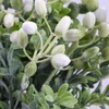 Kép 3/5 - Hipericum csokor fehér 2db/csomag