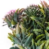 Kép 4/7 - Sedum csokor rózsaszín 2db/csomag