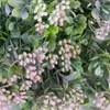Kép 2/5 - Korall csokor pink 2db/csomag