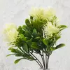 Kép 1/3 - Mini protea csokor fehér 600/#