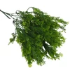 Kép 1/4 - Smaragd thuja csokor sötétzöld
