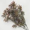 Kép 1/3 - Buxus csokor barna 600/#