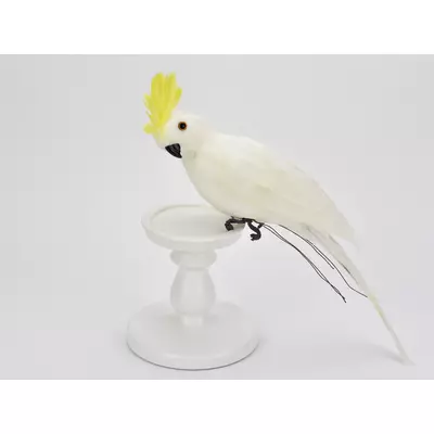 Papagáj fehér 36cm