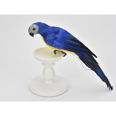 Papagáj kék - sárga 36cm
