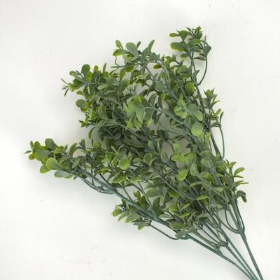Buxus csokor hamvaszöld 600/#