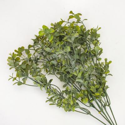 Buxus csokor világoszöld 600/#