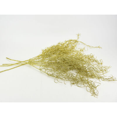 Asparagus csillámos arany  4db/csomag