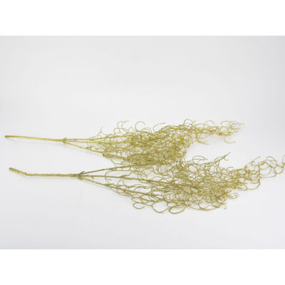 Hosszúlevelű asparagus csillámos arany 2db/csomag