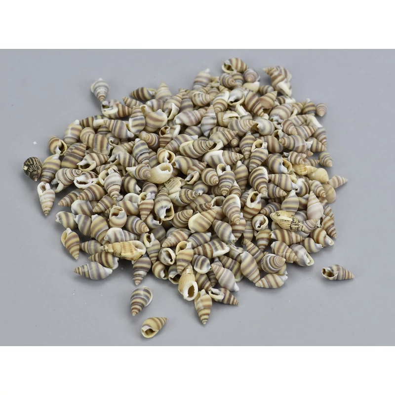 Mini csíkos csiga 1,5cm 10dkg/csomag