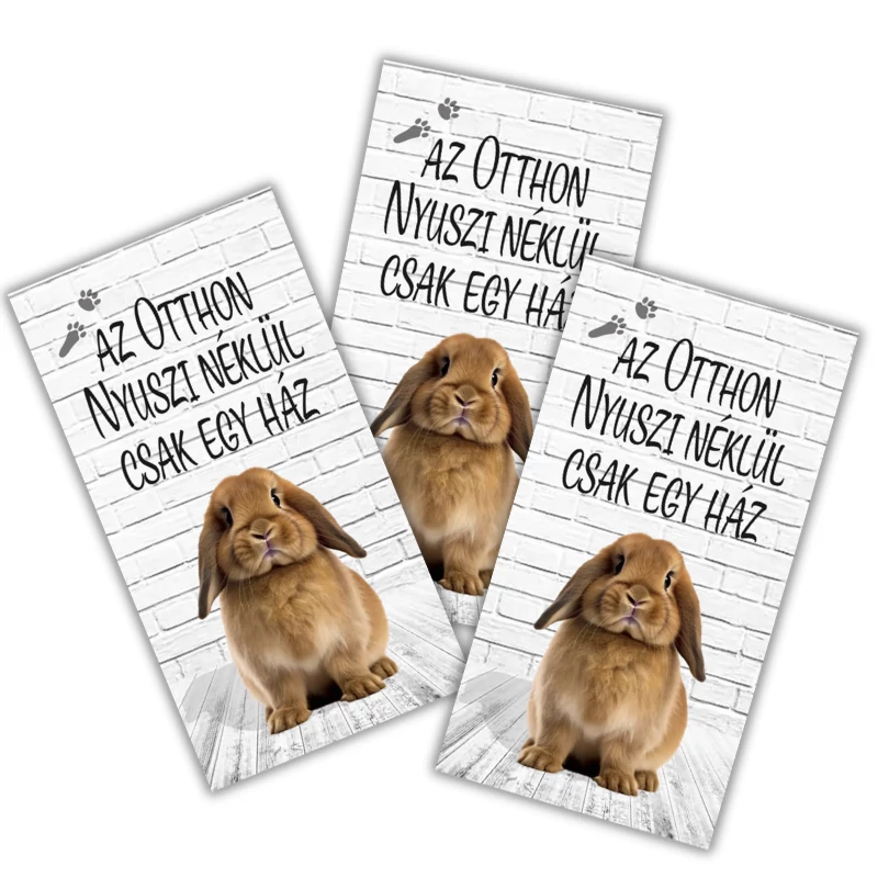 Nyomtatott dekorkarton - Az otthon nyuszi nélkül 3db/csomag