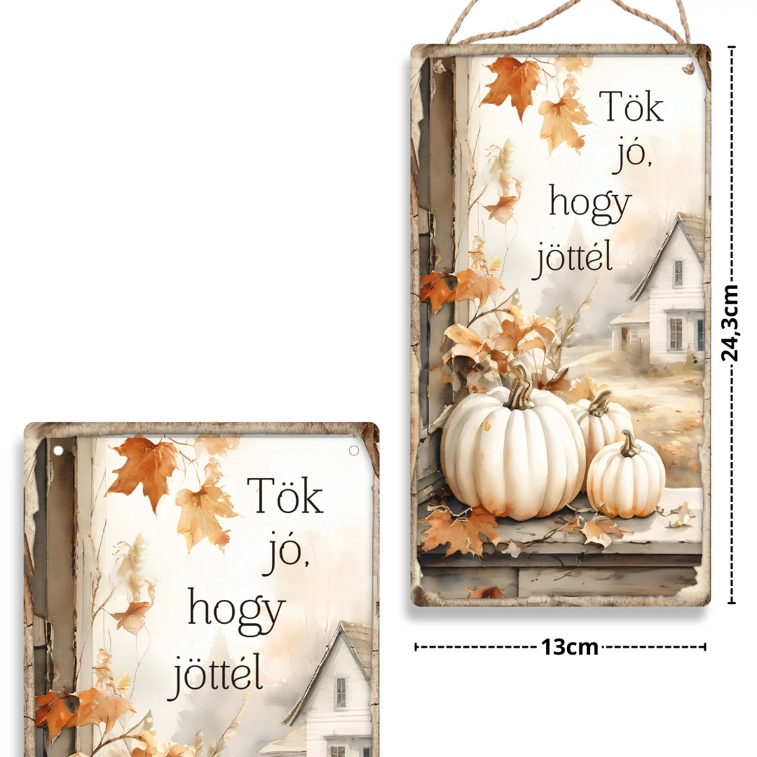 Nyomtatott fa tábla - Fehér-narancs -Tök jó, hogy jöttél akasztós tábla 13x24,3cm