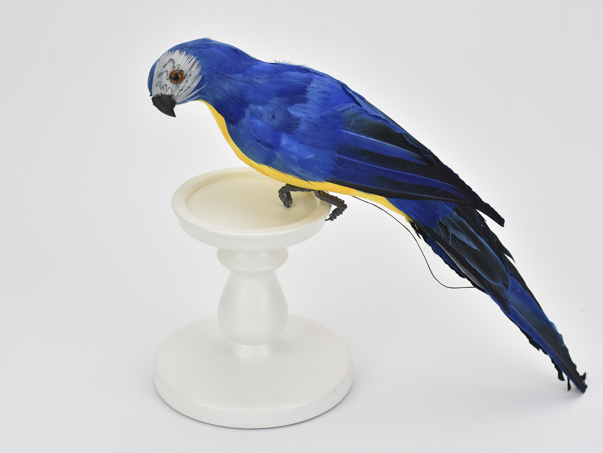 Papagáj kék - sárga 36cm