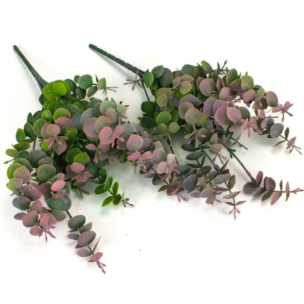 Eukaliptusz bokor hamvas pink 2db/csomag